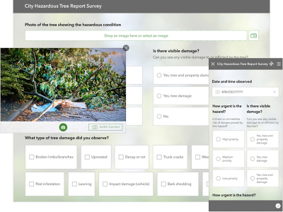 Survey123 screencap of a City Hazardous Tree Report Survey