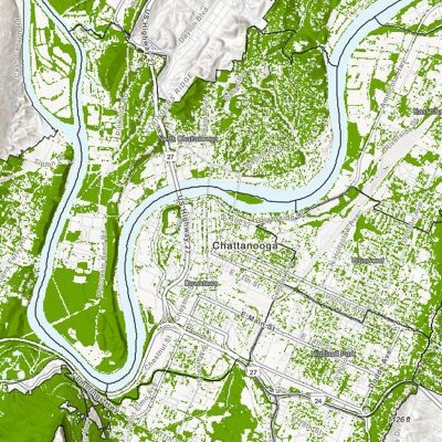 Map of Chattanooga in white and gray with potential planting areas shaded in green