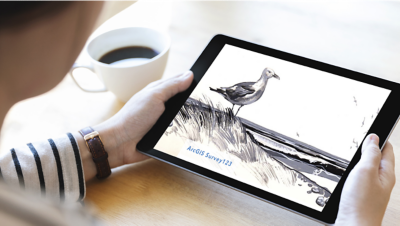 Hands holding a tablet displaying a black and white drawing of a seagull on a beach 
