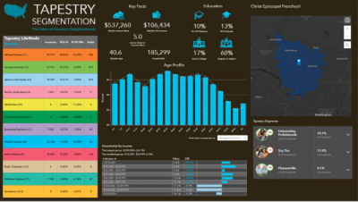 Dashboard with Tapestry Segmentation data including charts and a map