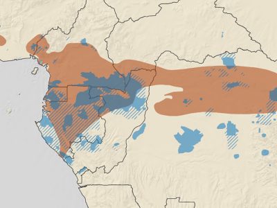 Map showing overlaps between the range of ebony trees in orange and areas where forest elephants continue to thrive in blue