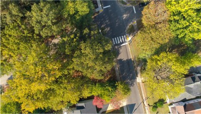 Wake County Tree Canopy