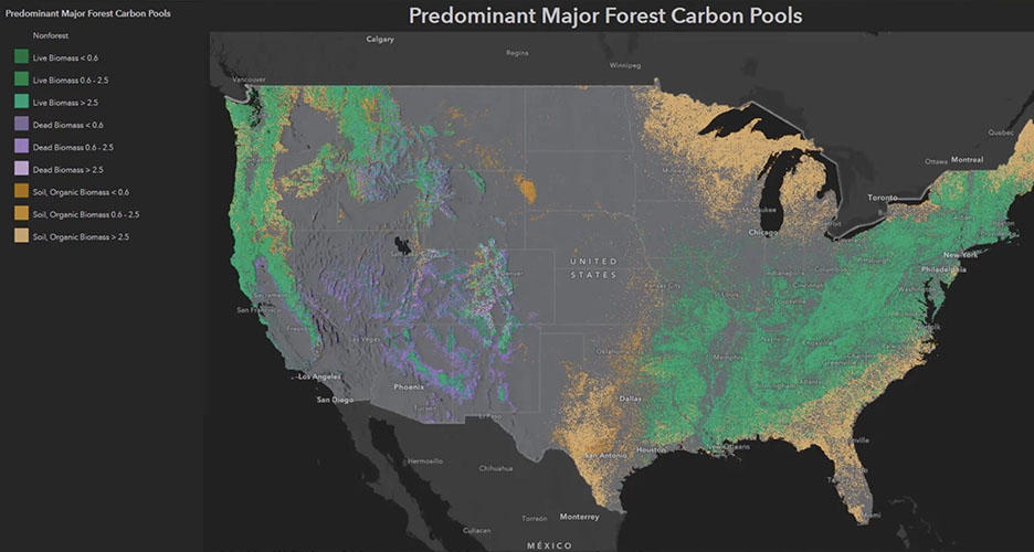最も重要な主要森林炭素プールが、米国のマップ上に緑、紫、オレンジ色で色分けされている