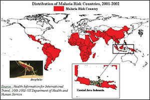 click to see enlargement