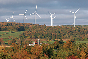 photo of the Maple Ridge Wind Farm