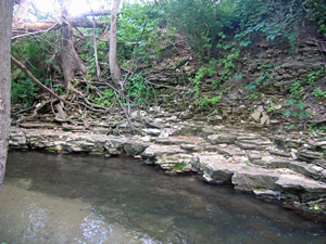 Dry Run Creek (DRC) watershed study area.