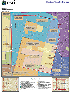 City of Fullerton staff can retrieve the census information for that newly defined area.