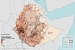 This map was part of a series created for the first Summit for Sustainability in Africa.