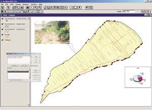 click to see enlargement