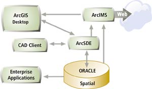 click to see enlargement