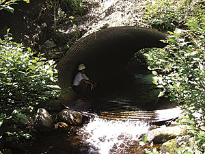 photo of a stream crossing