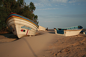 photo of boats