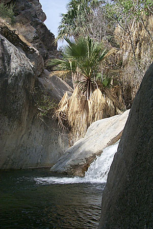 Tahquitz Canyon waterfall