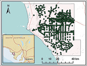 Example of an implementation of the NGIS for the Musgrave prescribed well area in South Australia.