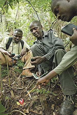 Field researchers collecting biodiversity data in the nature reserves. (Photo � CI/Photo by John Martin)