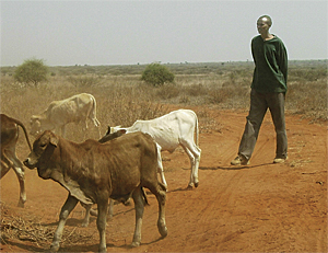 A Maasai herdsman.