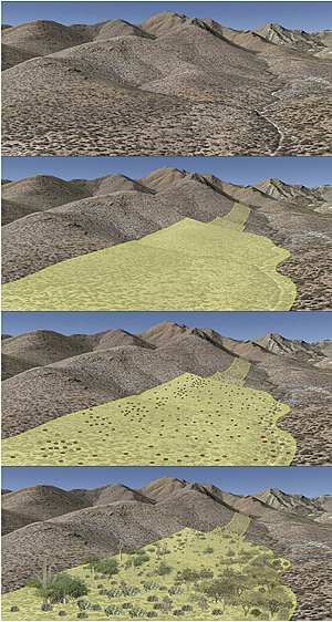 A series of Sonoroan desert scenes showing the wildlife corridor design process.