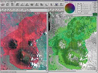 vegetation maps of the Virunga Mountains as described below left