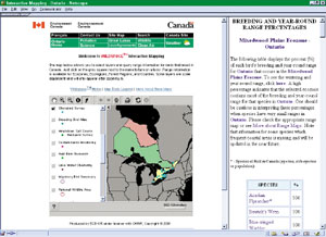 screen shot of Wildspace Web site; click to see enlargement