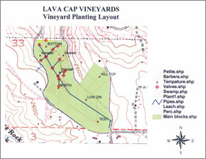 vineyard planting layout; click to see enlargement