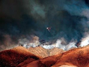 click to see enlargement