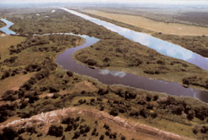 photo of the Kissimmee River ecosystem