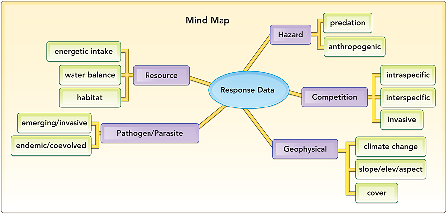 Ecosystem Dynamics Chart