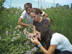 Young people learning to notice patterns in nature.