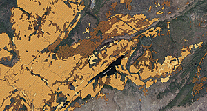 Vegetation change was analyzed using GIS.