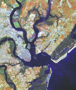 a Landsat Thematic Mapper image of Charleston