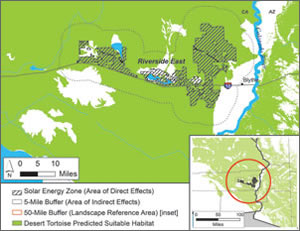 A proposed SEZ in Southern California illustrating habitat distribution models for the desert tortoise.