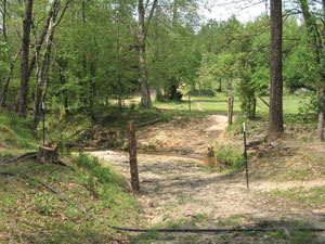 Cattle excluded from the water body through funding from the program