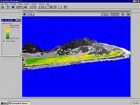 Vegetation classification