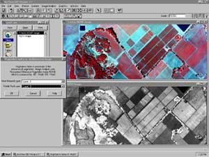 Vegetation Index Analysis