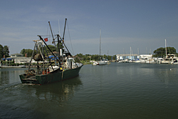 a photo of the Greenport harbor