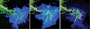 Changes to the shape of the Birdfoot delta at the termination of the Mississippi River are the result of sediment deposition.