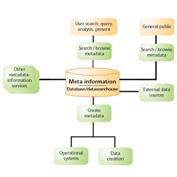 Metadata Information