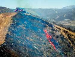 bulldozers on a fire line