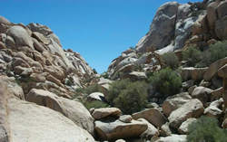 the Wonderland of Rocks