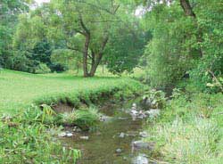 Pennypack Creek