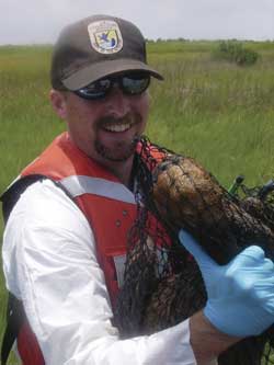 photo of Jim Hawkins holding a rescued pelican