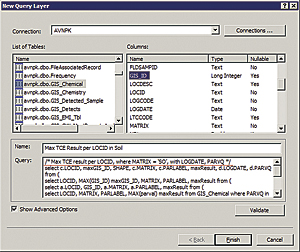Now a description and complex nested query can be entered in the New Query Layer dialog box.