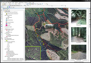 ArcGIS was used to create a map of the Walker Valley ORV area.
