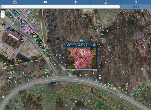 read the article read the article