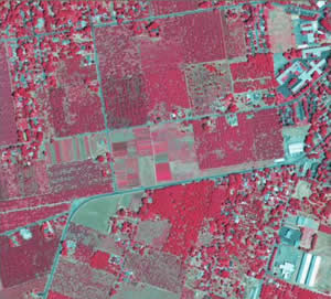 ArcGIS 10 showing NAIP 2009 Color Infrared (CIR) Image Service for California