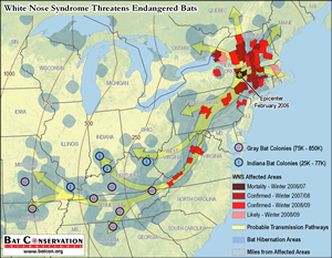 map of the future spread of WNS