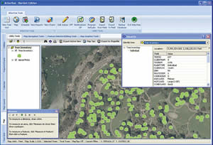 GIS integrates the many tasks involved with tree care inventory and management.