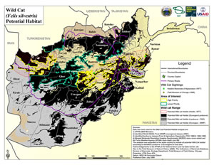 map of the potential habitats for wild cats
