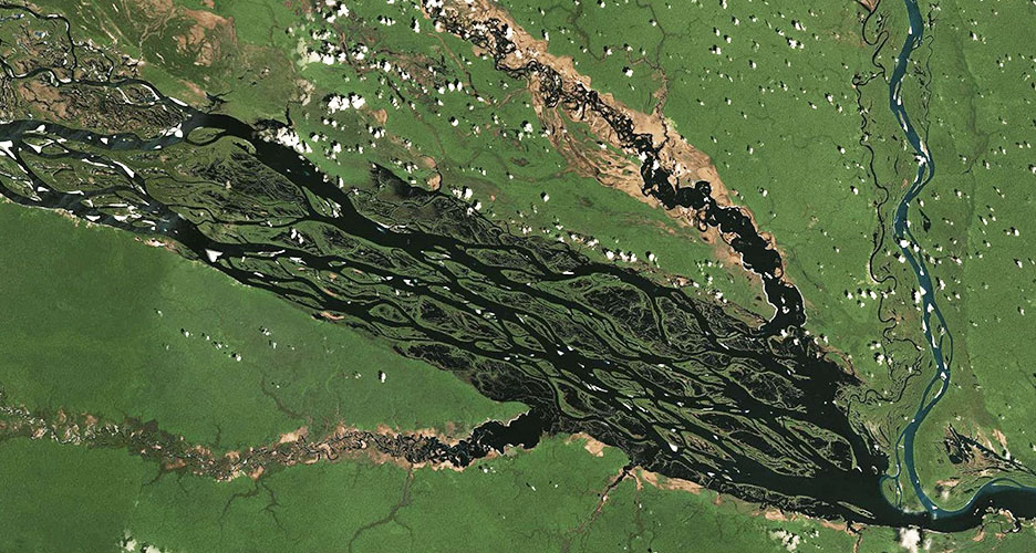 O desmatamento é evidente em uma visão aérea de uma floresta, mostrada em verde com áreas marrons onde as árvores foram derrubadas