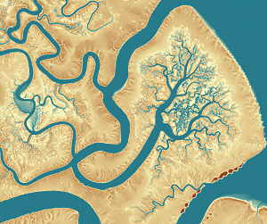 A high-resolution DEM of Rock Island, located along the Georgia coast next to the Deboy sound, created in ArcGIS from airborne lidar and collected as part of the 2010 Coastal Georgia Elevation Project. Source lidar made available by the NOAA Coastal Services Center.